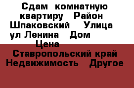 Сдам 1комнатную квартиру › Район ­ Шпаковский  › Улица ­ ул.Ленина › Дом ­ 167 › Цена ­ 6 000 - Ставропольский край Недвижимость » Другое   